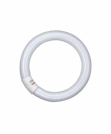 Osram LUMILUX T8  RINGFORM