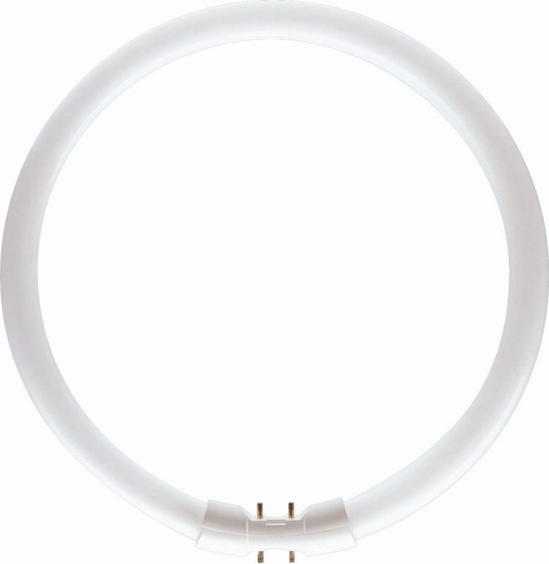 Philips Ringröhre MASTER TL5 Circular 40W/840 2GX13